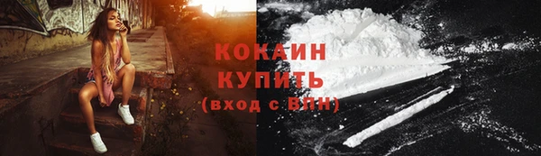 a pvp Ельня