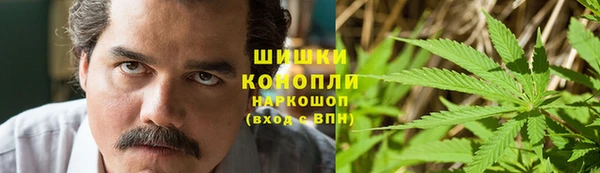 крисы Елизово