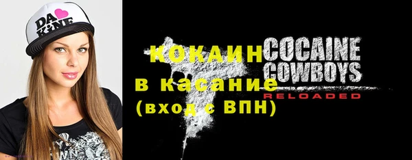 a pvp Ельня