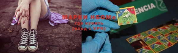 крисы Елизово
