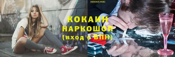 крисы Елизово