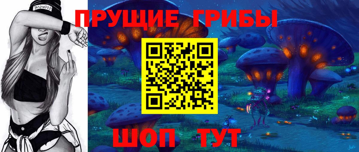 Галлюциногенные грибы MAGIC MUSHROOMS  Галлюциногенные грибы GOLDEN TEACHER  Моршанск 