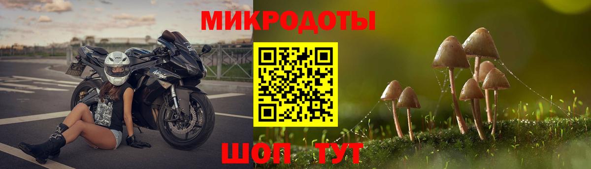 Галлюциногенные грибы мицелий  Псилоцибиновые грибы ЛСД  Вход с VPN  Моршанск 